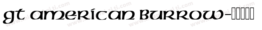 GT American Burrow字体转换